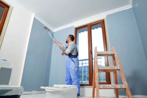 Professional Mold Removal in Gardner, KS