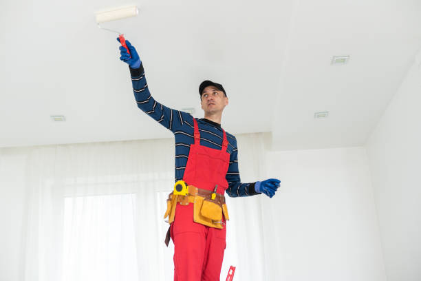 Best Mold Documentation for Insurance Claims  in Gardner, KS