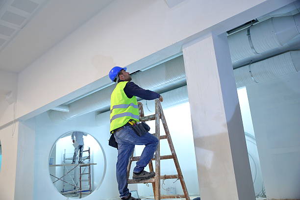 Best Post-Construction Mold Inspection  in Gardner, KS